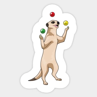 Meerkat Juggler Juggle Sticker